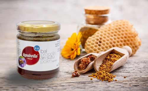 Dynabeille Çam balı, propolis, arı sütü, polen